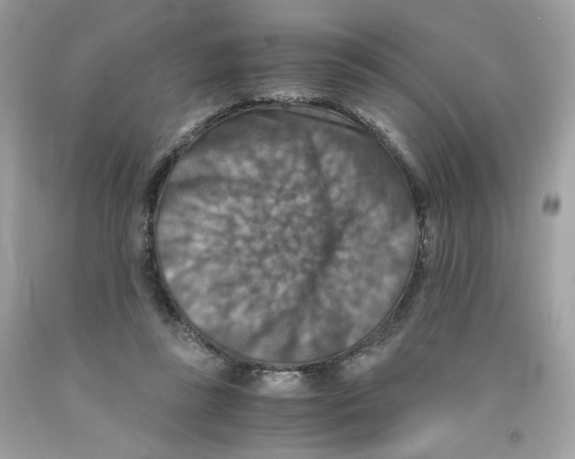 X0000091060355200709041203