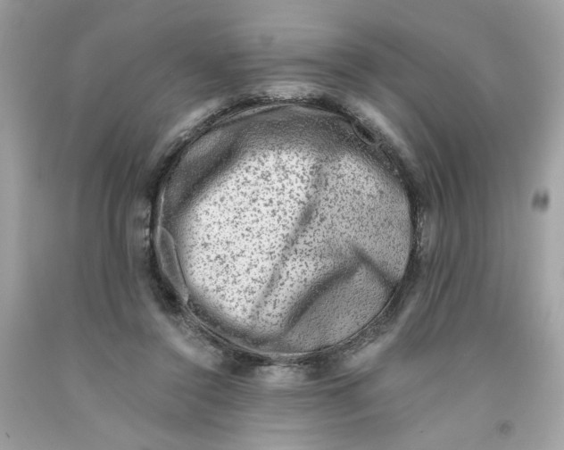 X0000091060356200709041203