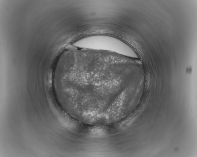 X0000091060358200709041203