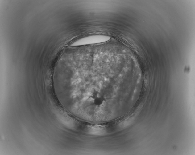 X0000091060359200709041203