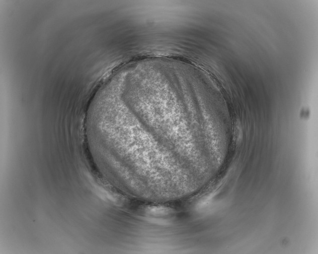 X0000091060360200709041203