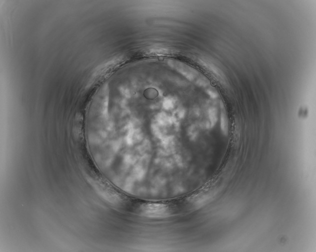 X0000091060361200709041203