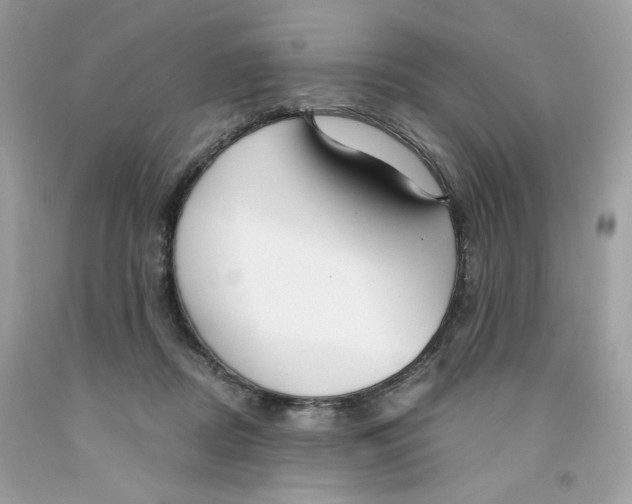 X0000091060362200709041203