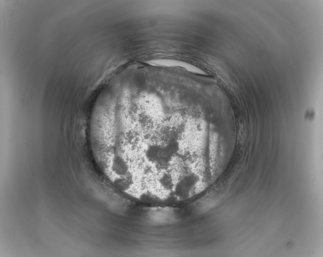 X0000091060363200709041203