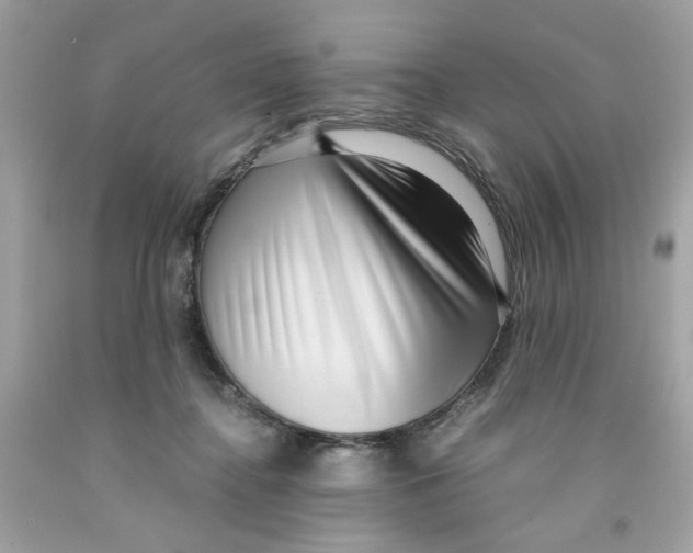 X0000091060364200709041203