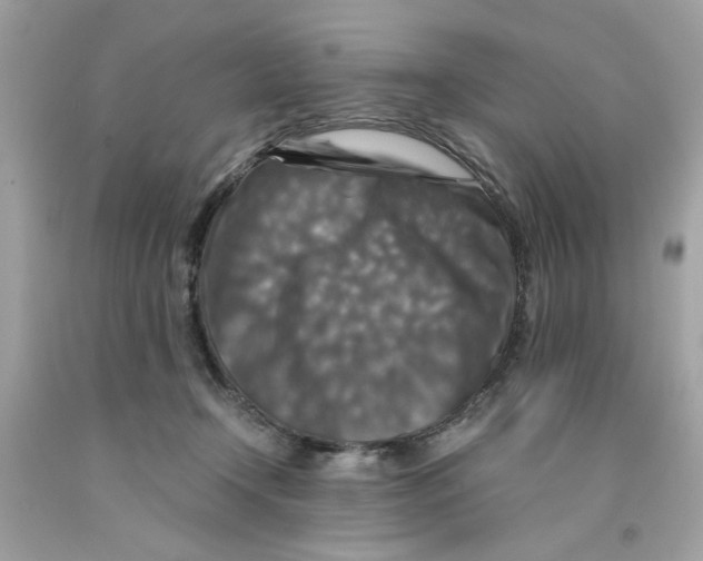 X0000091060366200709041203