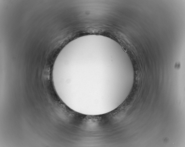 X0000091060368200709041203