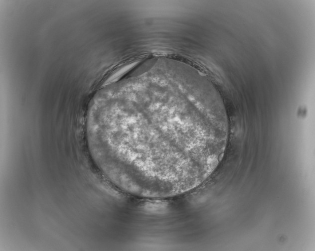 X0000091060369200709041204