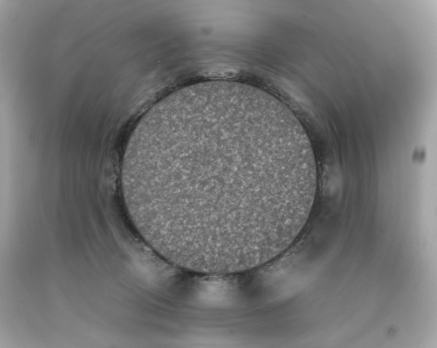 X0000091060370200709041204