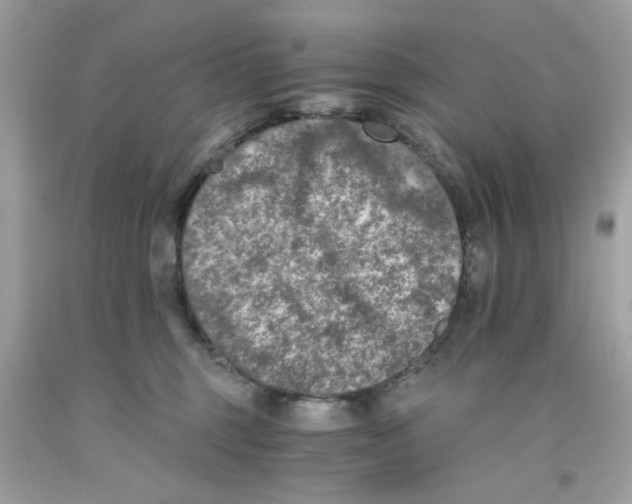 X0000091060375200709041204