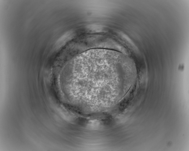 X0000091060376200709041204