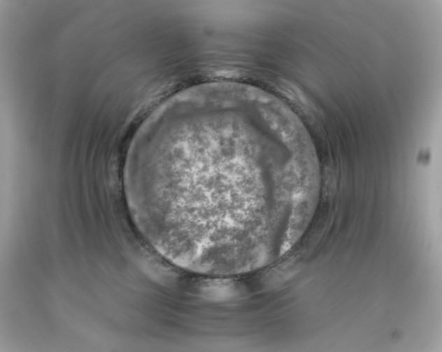 X0000091060377200709041204