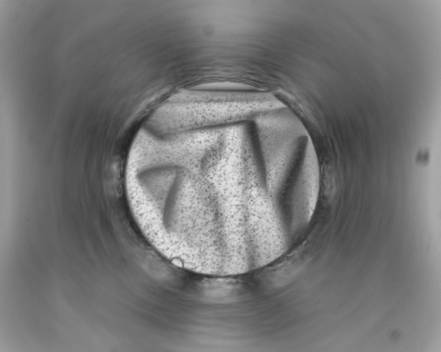 X0000091060378200709041204