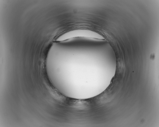 X0000091060379200709041204