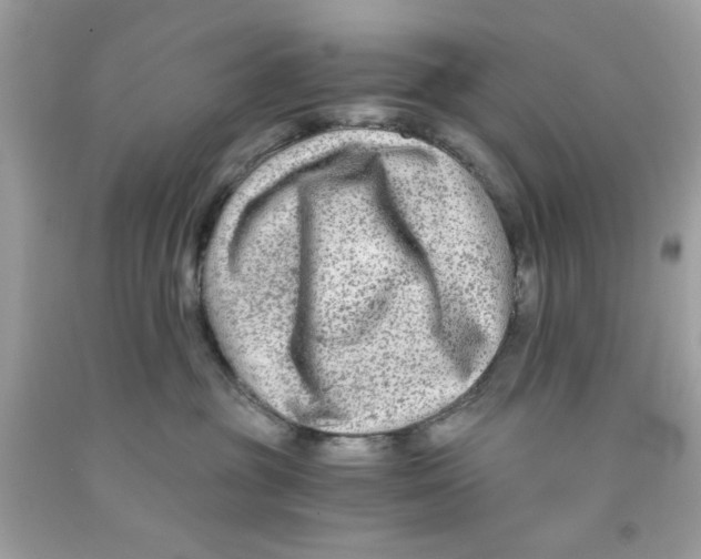 X0000091060381200709041204