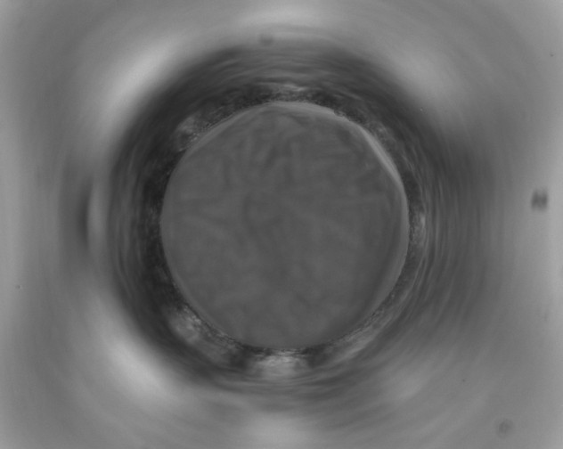 X0000091060383200709041204