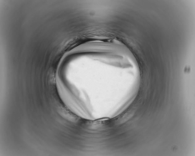 X0000091060384200709041204