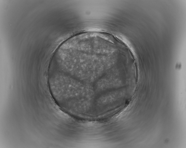 X0000091060385200709041203