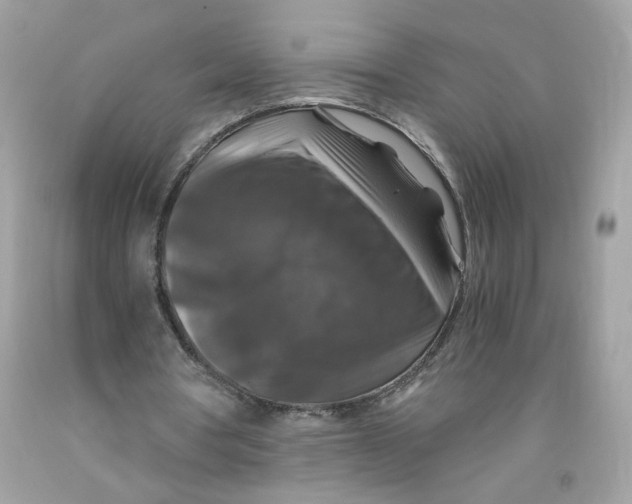 X0000091060386200709041203