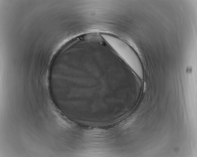 X0000091060387200709041203