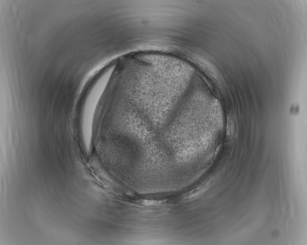 X0000091060388200709041203