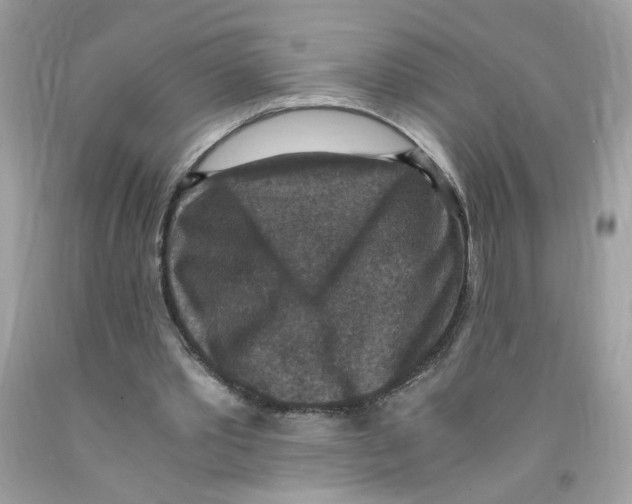 X0000091060389200709041203