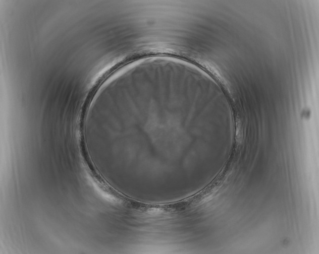 X0000091060390200709041203