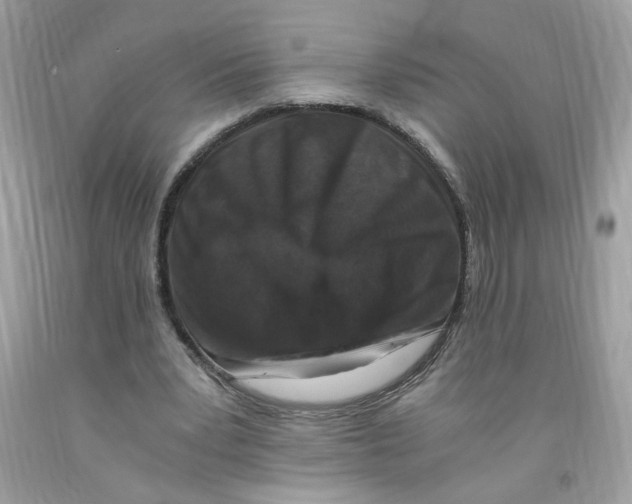 X0000091060391200709041203