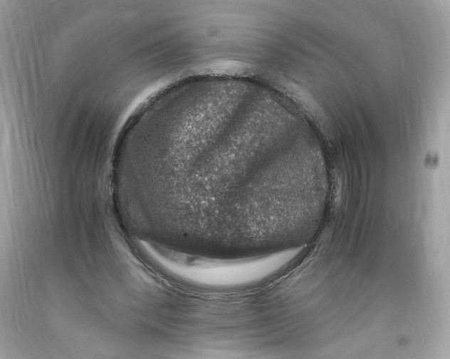 X0000091060392200709041203