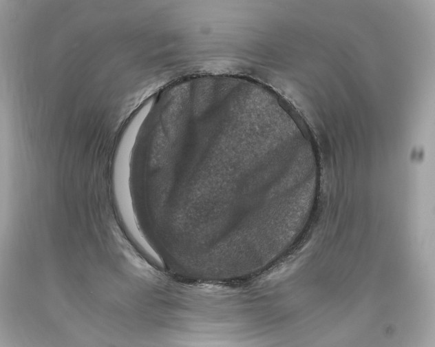 X0000091060393200709041203