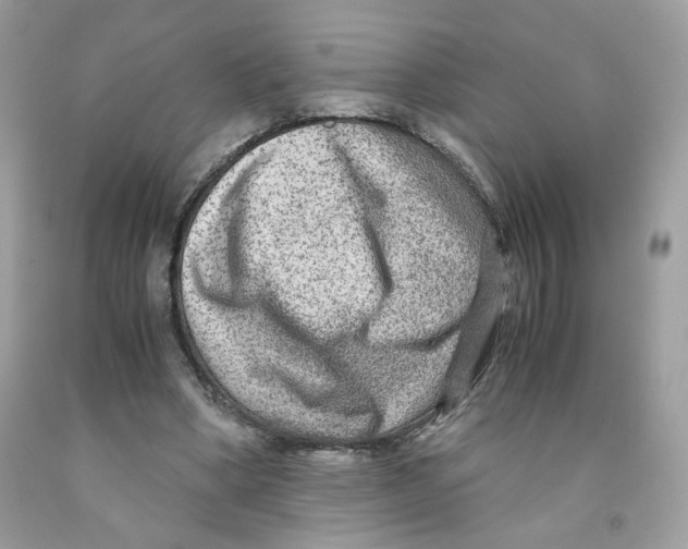 X0000091060394200709041203