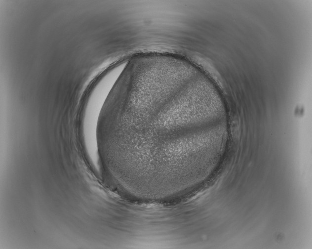 X0000091060395200709041203