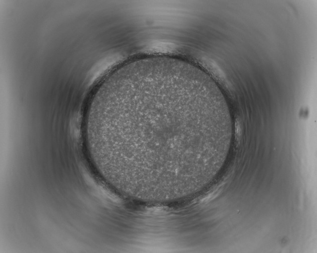 X0000091060396200709041203