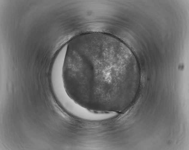 X0000091060397200709041203