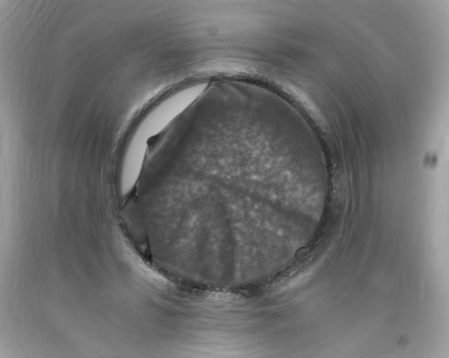 X0000091060399200709041203