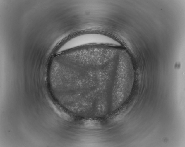 X0000091060400200709041203