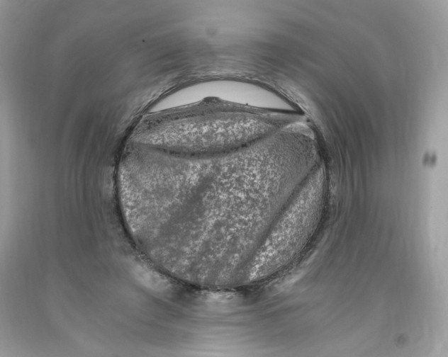 X0000091060401200709041203