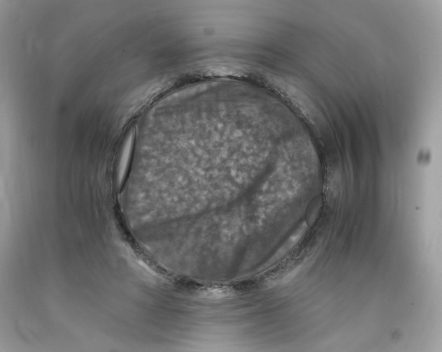 X0000091060402200709041203