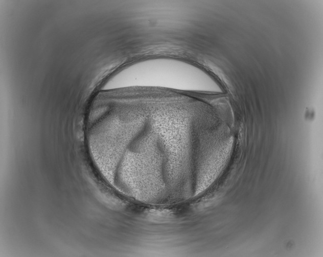 X0000091060403200709041203