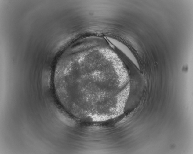 X0000091060404200709041203