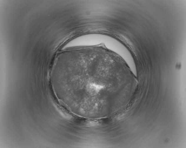 X0000091060405200709041203