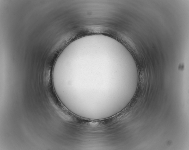 X0000091060406200709041203