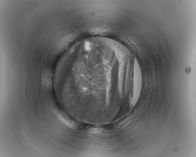 X0000091060408200709041203