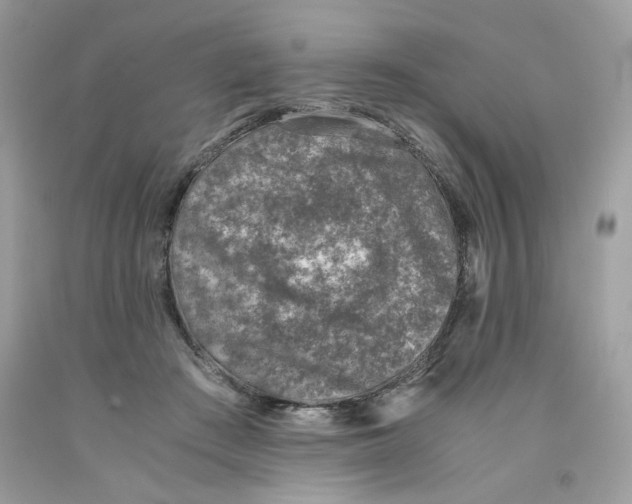 X0000091060409200709041203