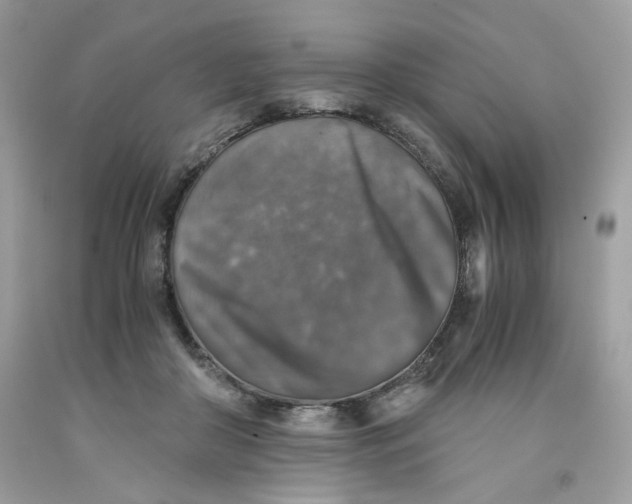 X0000091060410200709041203