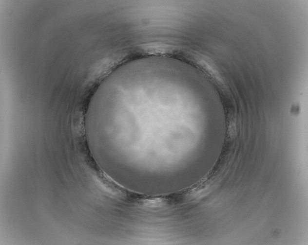 X0000091060411200709041203