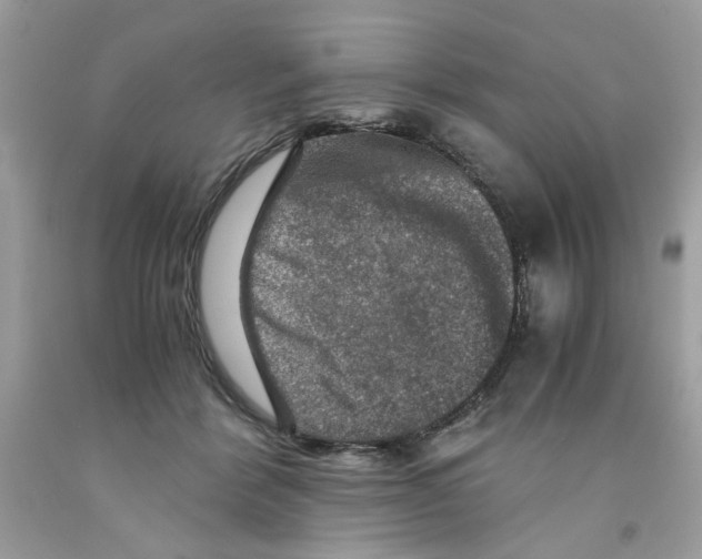 X0000091060412200709041203