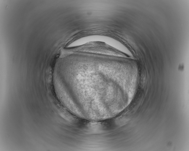 X0000091060413200709041203