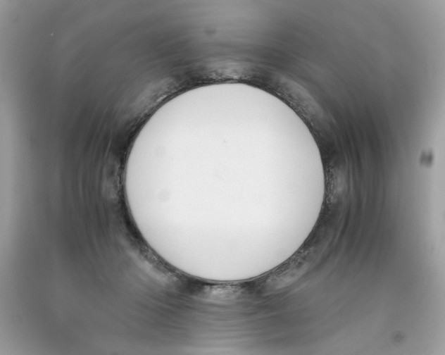 X0000091060414200709041203