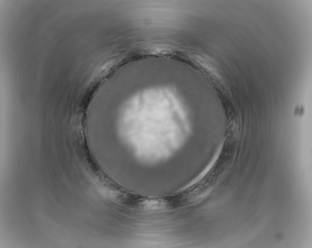 X0000091060415200709041203